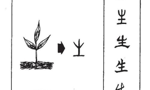 完美眼霜适合多大年龄-【完美眼霜适合多大年龄】完美眼霜多少钱一瓶 - 完美眼霜好不好网
